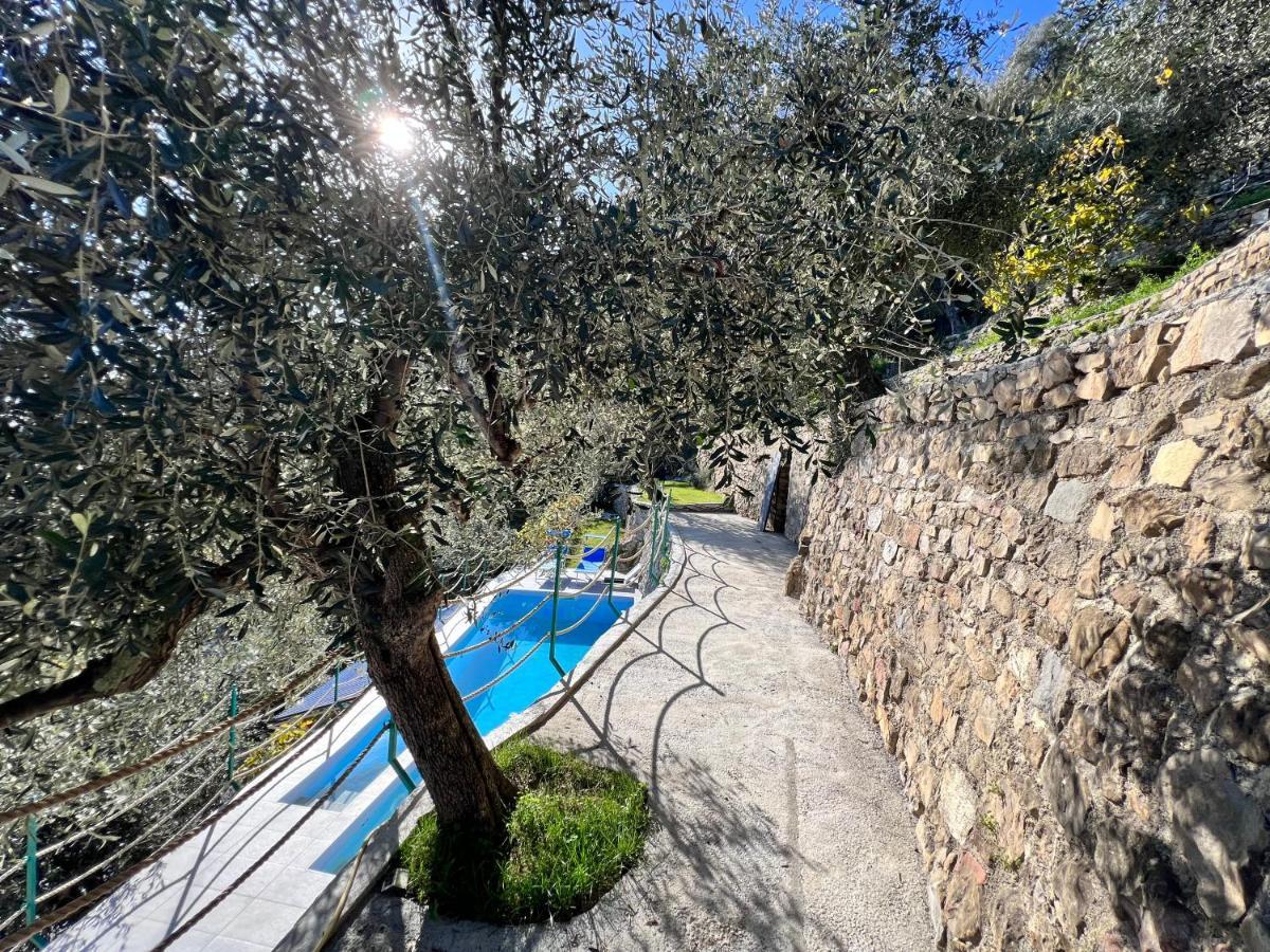 Villa Di Campagna Con Vista Mare 5 Camere Da Letto Pampara Εξωτερικό φωτογραφία